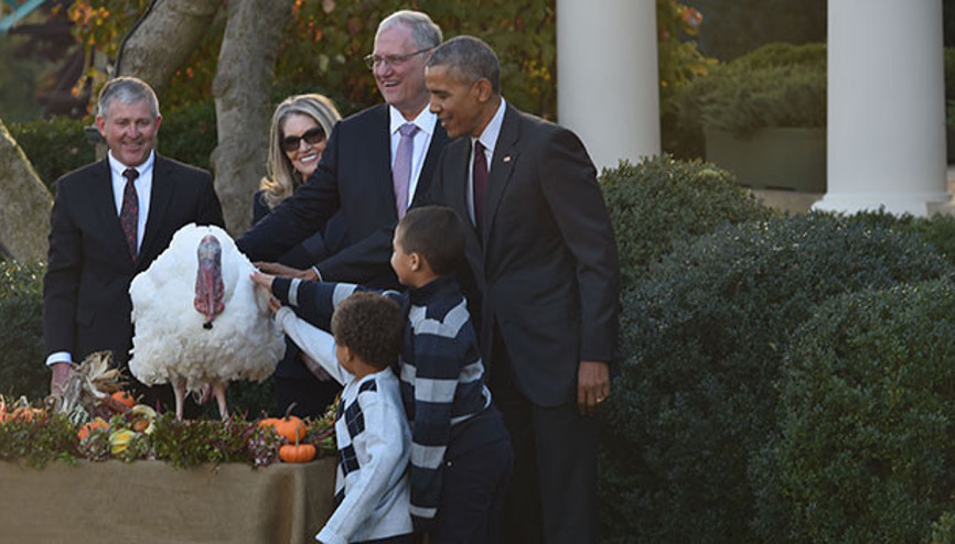 Obama, başkan olarak son kez hindi affetti