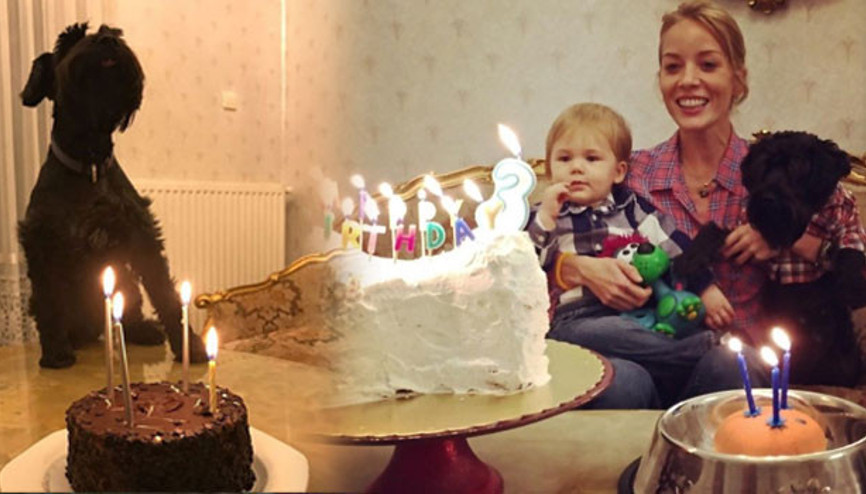 Bade İşçil köpeği Mösyönün doğum günü kutladı