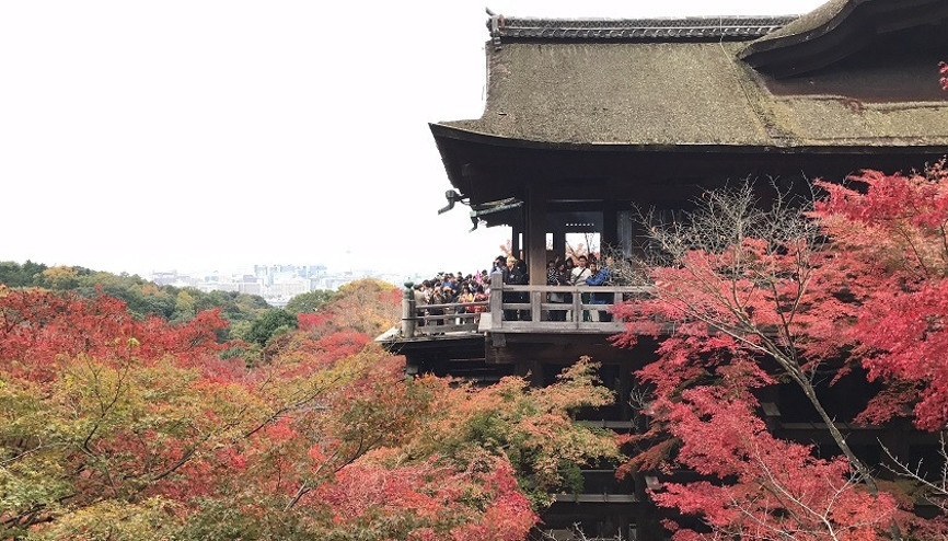 Kyoto’da sonbahar