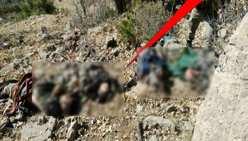 TSK fotoğrafları yayınladı Öldürüldüler