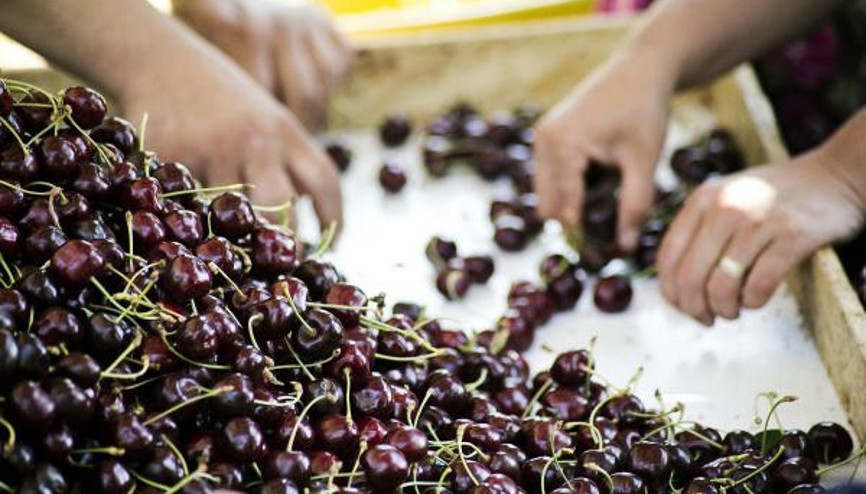 Sebze ve meyve ihracatçılarından Şili seferi