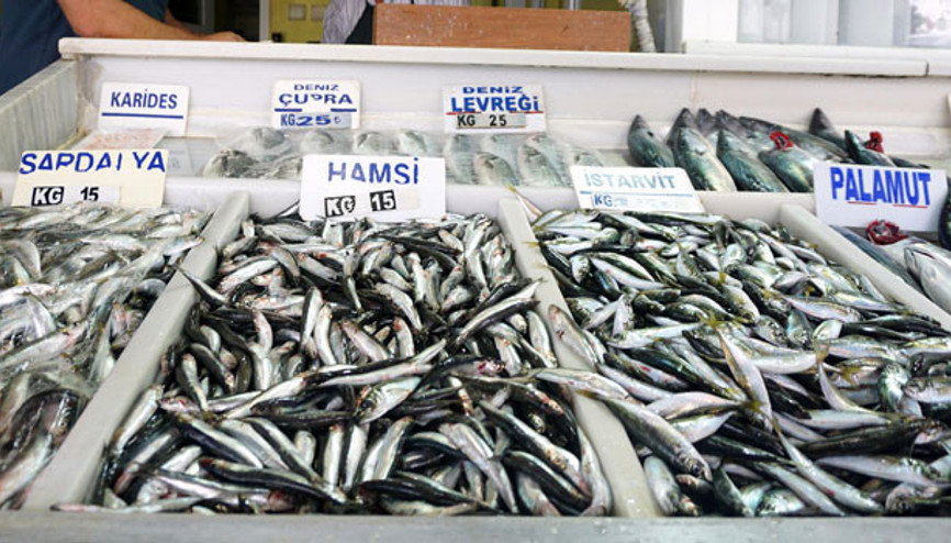 Hamsi ihracatçısını üzdü