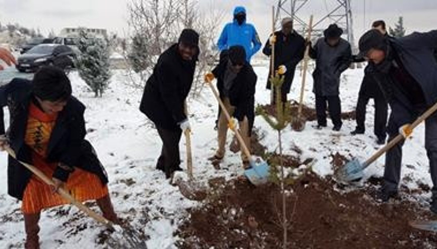 Afrika’dan Keçiören’e dostluk ağaçları
