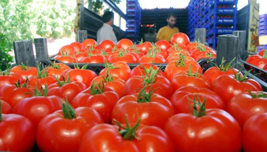Antalya çiftçisinin kulağı, Rusyadan gelecek iyi haberde