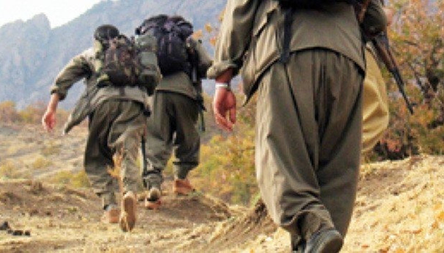 Almanyadan PKK açıklaması