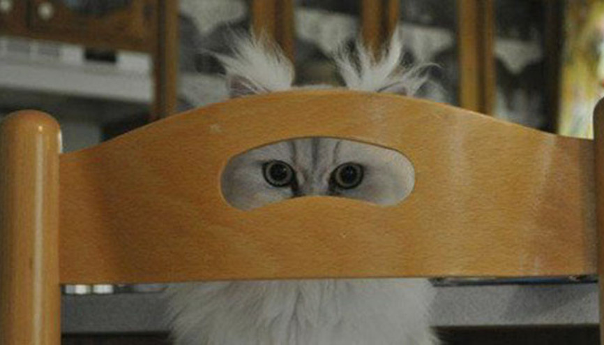 Stalkın gücüne dair 10 altın kural Stalkın gücüne dair 10 altın kural