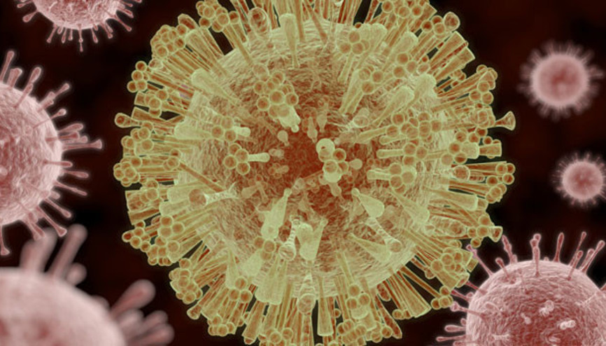 Zika virüsü nedir Zika virüsü nedir