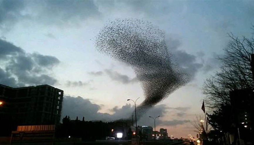 İstanbul semalarında ilginç görüntü