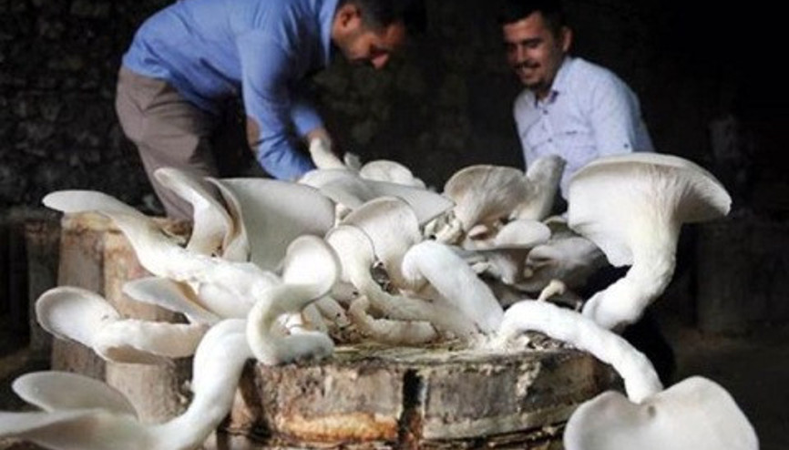 Günde 15 dakika ayırıp yılda 30 bin lira kazanacaklar