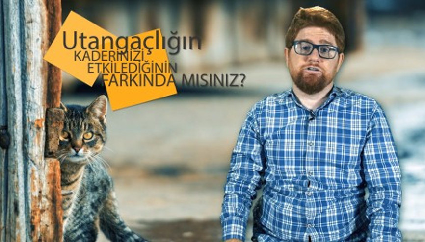 Utangaçlığın kaderinizi etkilediğinin farkında mısınız | Beynine Format At Utangaçlığın kaderinizi etkilediğinin farkında mısınız | Beynine Format At