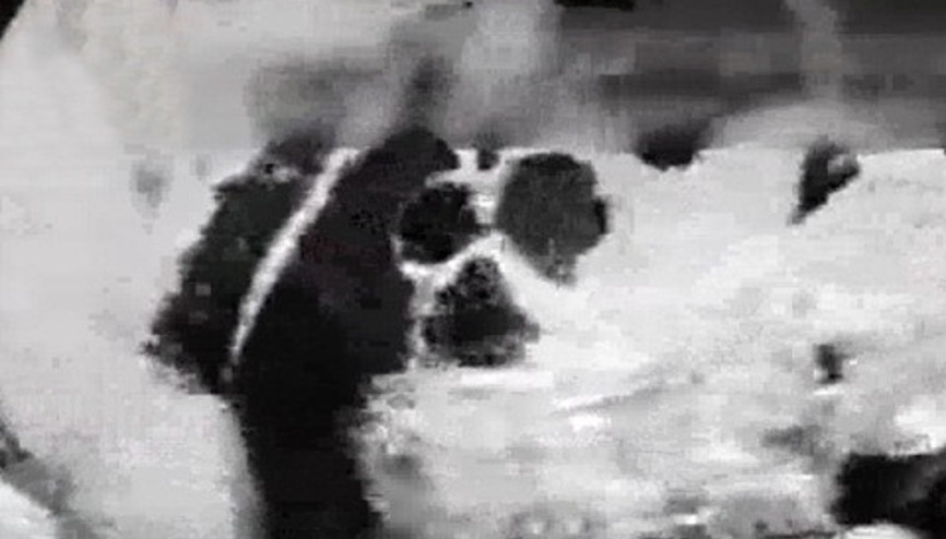 İki kez doğan bebek