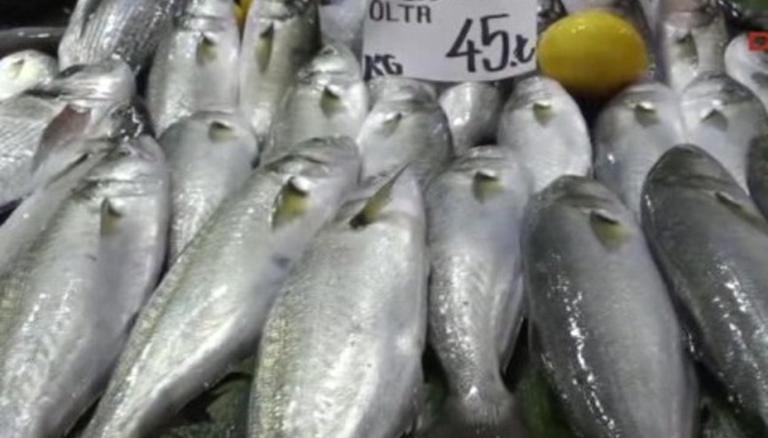 Lüferin kilosu 50 liraya çıktı