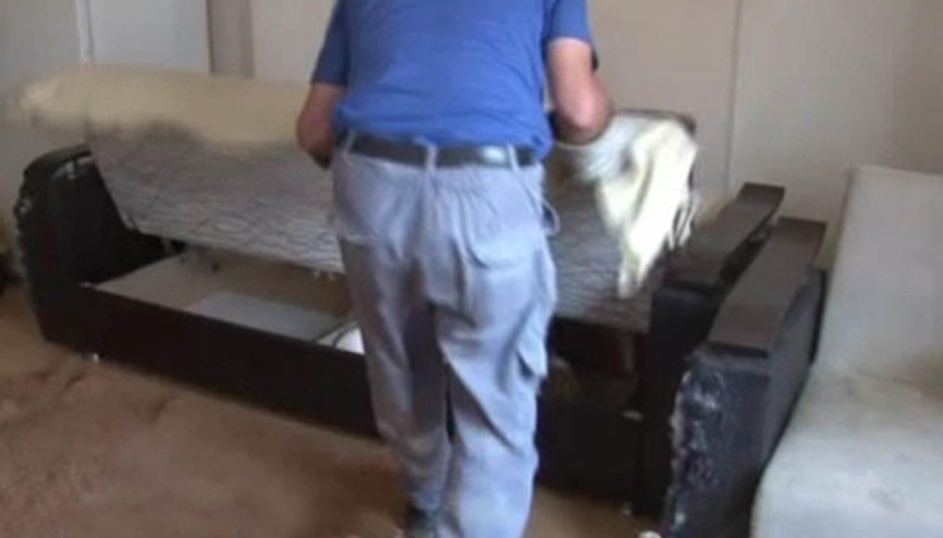 Çekyatın içinden onlarca kedi fırladı