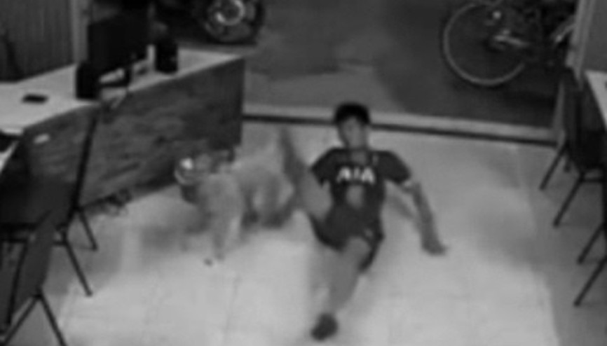 Su içen köpeğe tekme atarken yere çakıldı