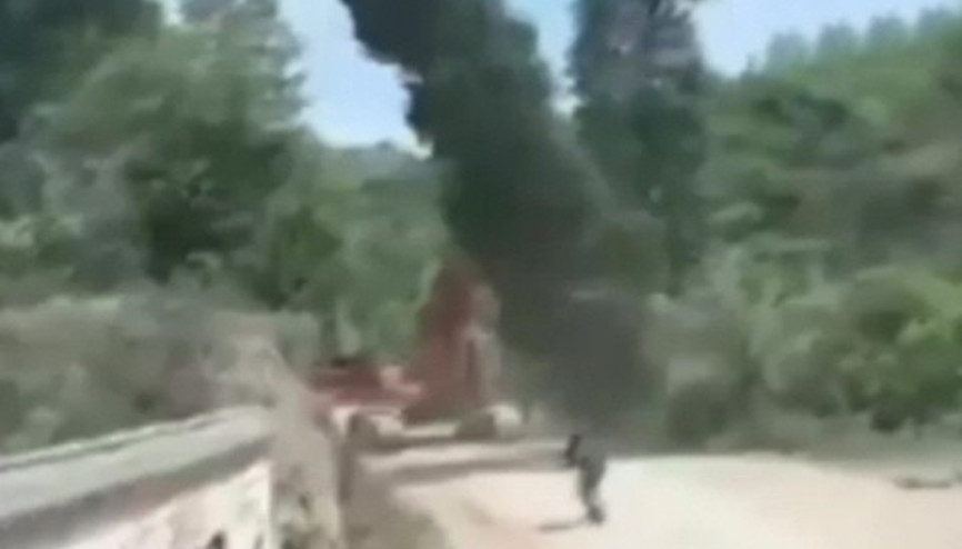 Ağacın intikamı kötü oldu