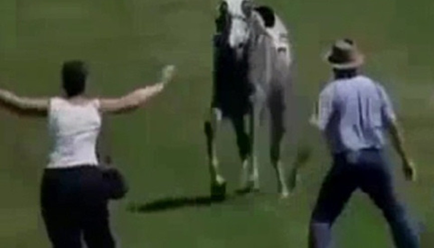 Atı durdurmak isterken yere serildi