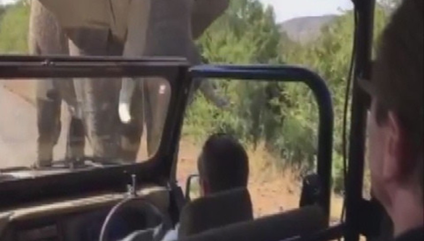 Terminatörün zor anları