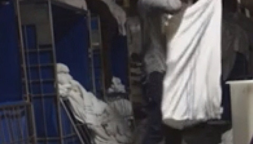 Kirli havluları temizmiş gibi katlayıp...