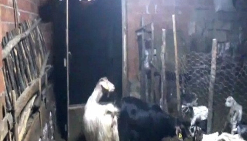 10 yaşındaki çocuk boynuna dolanan iple hayatını kaybetti 10 yaşındaki çocuk boynuna dolanan iple hayatını kaybetti