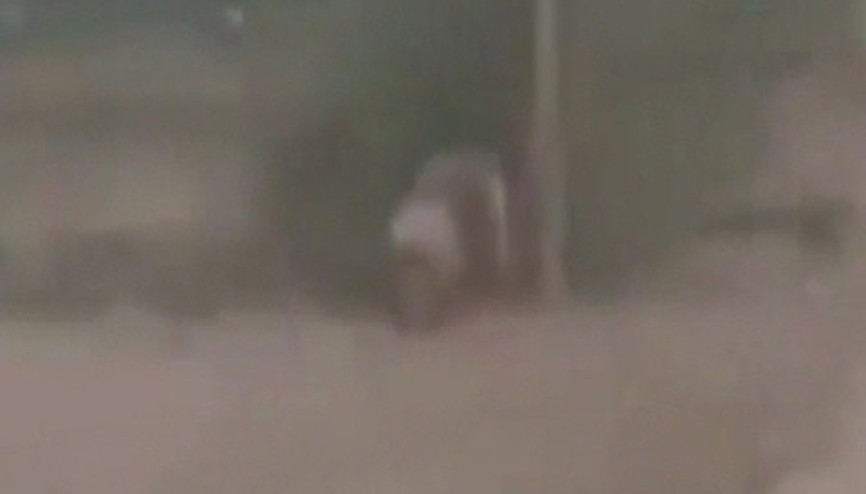 İmha etmeye çalıştığı bomba hayatına mal oldu