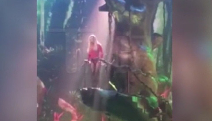 Britney Spears ağaçta mahsur kaldı