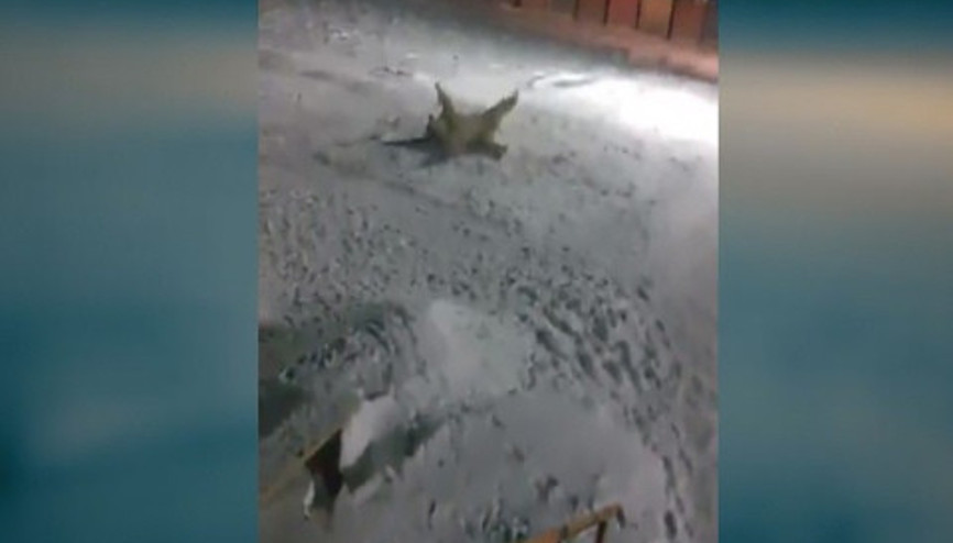 Rusyada insanlık dışı olay