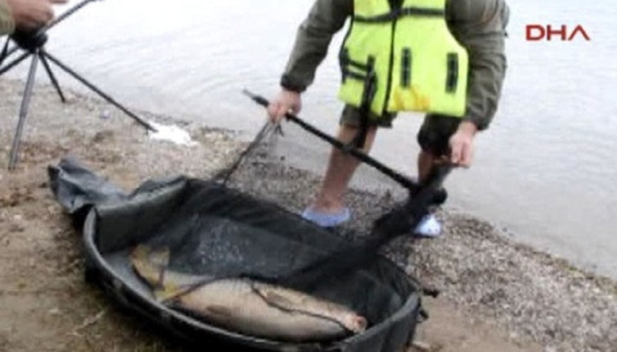 Sapanca Gölünde 16 kilo ağırlığında sazan balığı yakalandı