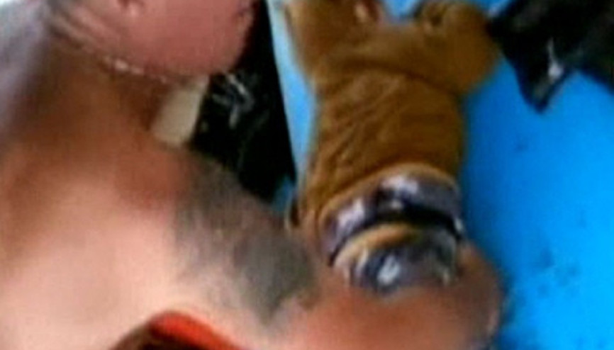 Cenap Gümren, küçük Muhammedi nasıl kurtardığını anlattı Cenap Gümren, küçük Muhammedi nasıl kurtardığını anlattı