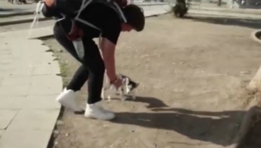 Köpeği için savaşın ortasında kalan Aslan mülteci Köpeği için savaşın ortasında kalan Aslan mülteci
