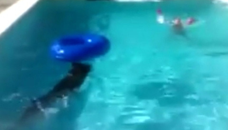 Sahibini boğulmaktan kurtaran köpek