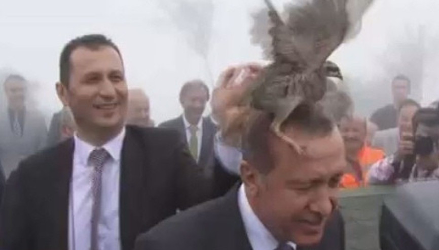 Erdoğanın başına keklik kondu