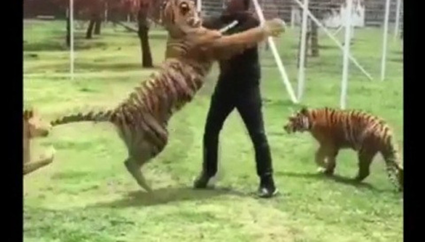 Eğitmenin şaşırtan dostluğu