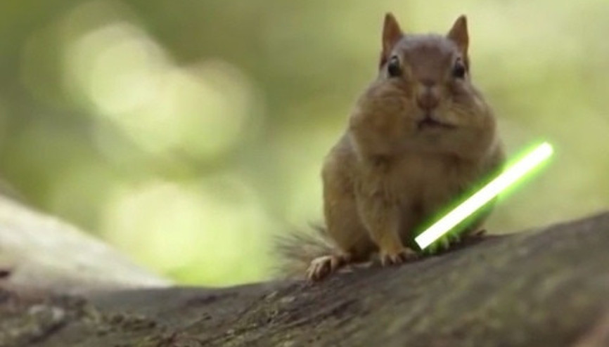 Sincaplar Star Wars dünyasında yaşasaydı