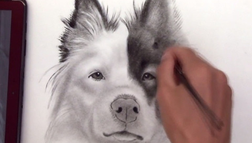 3 boyutlu köpek çizimi