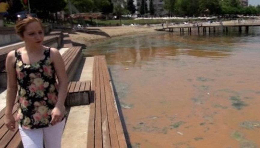 Mavi bayraklı plaj kızardı, kimse denize giremedi