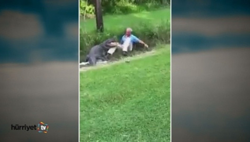 Golf topu uğruna timsaha yem oluyordu