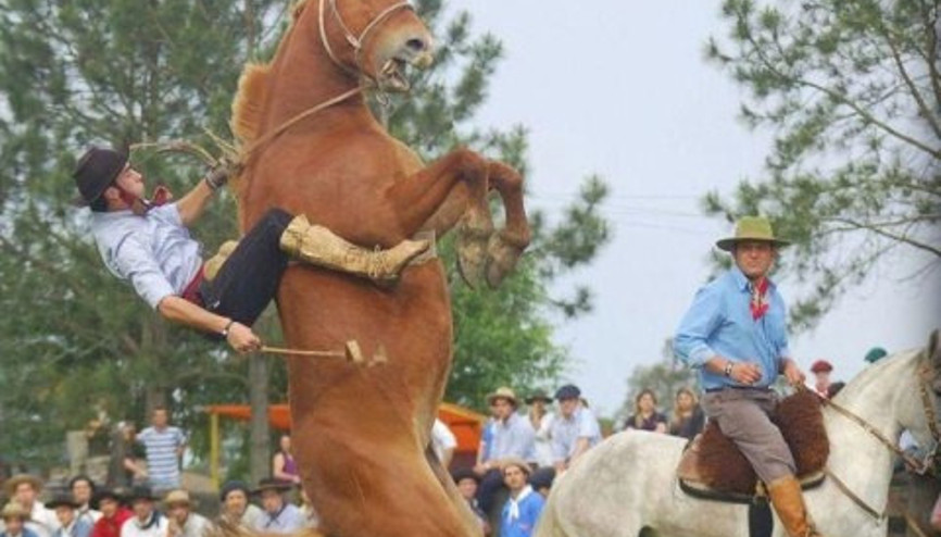 Bu at insan taşımayı reddediyor