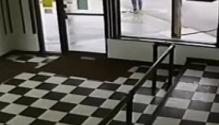Cep telefonuna dalınca yılana bastı ve işte böyle ısırıldı
