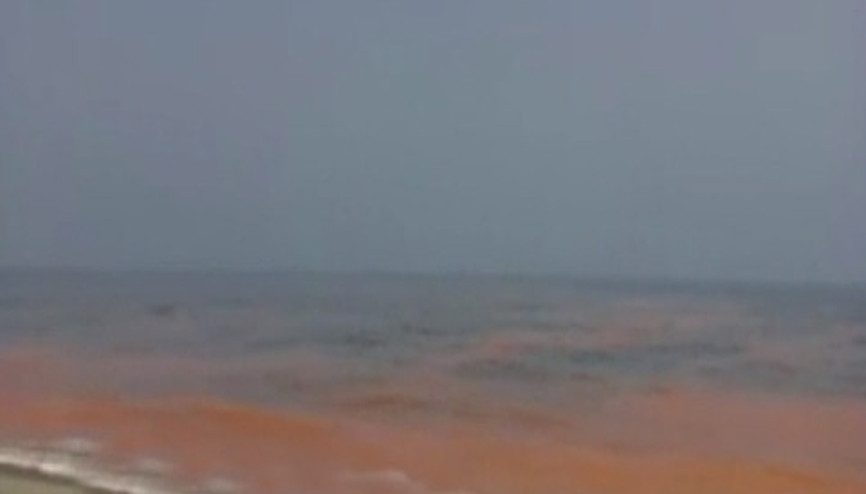 Karacabey sahili kızıla boyandı