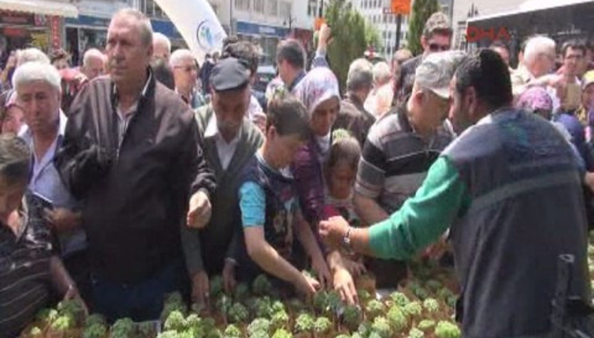 Denizli Ücretsiz fesleğene hücum Denizli Ücretsiz fesleğene hücum