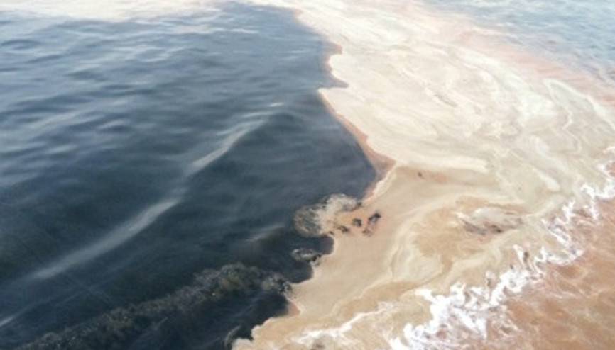 Yalovada deniz ortasındaki kahverengi tabaka korkuttu