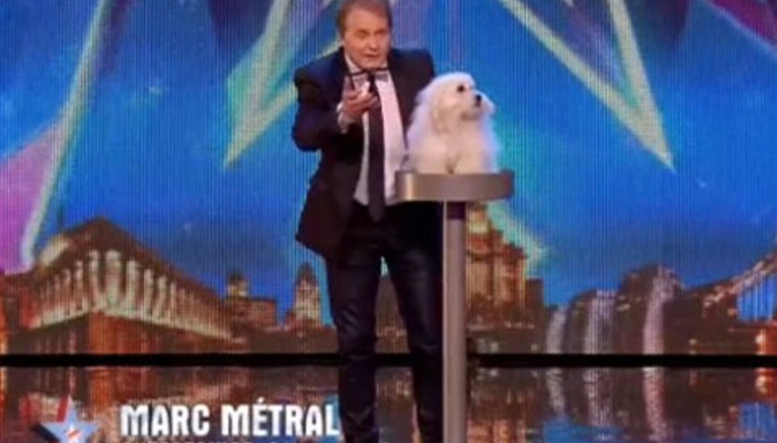 Konuşan köpek herkesi şaşkına çevirdi