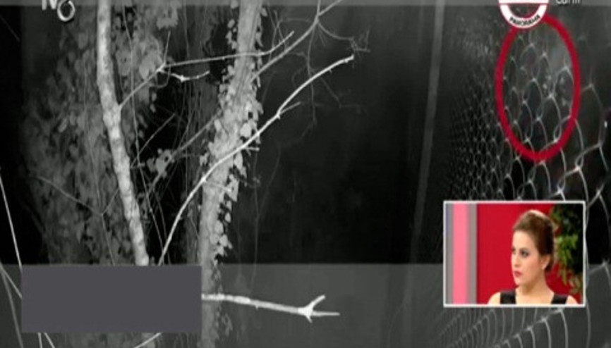 Barış Ütopyadan böyle kaçtı