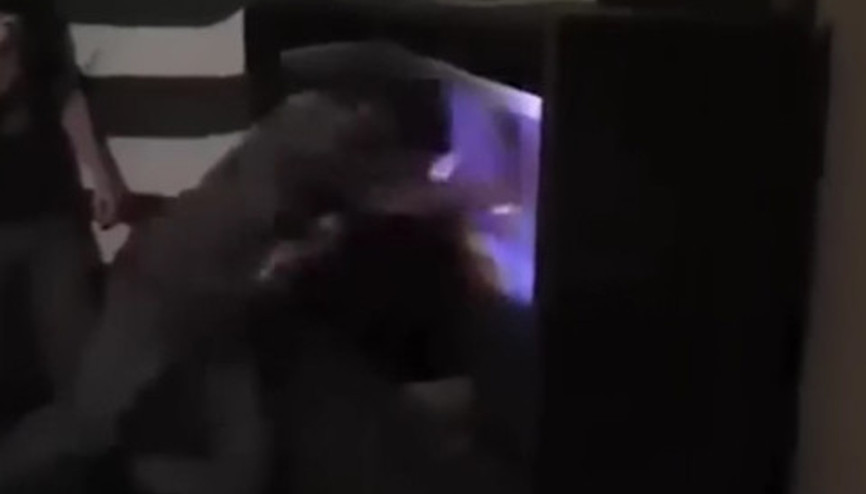 Maçı kaybedince televizyona kafa attı