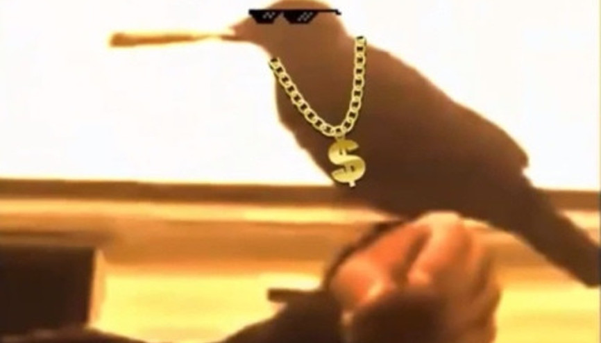 Karganın azılı bir gangstere dönüştüğü anlar
