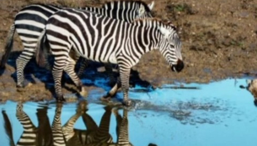 Burası Afrika değil Türkiye