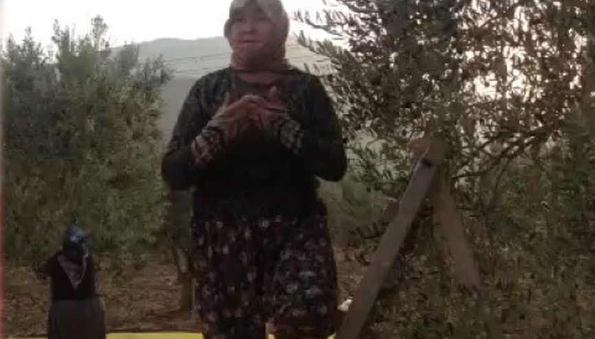O ağaçlar bizim her şeyimizdi