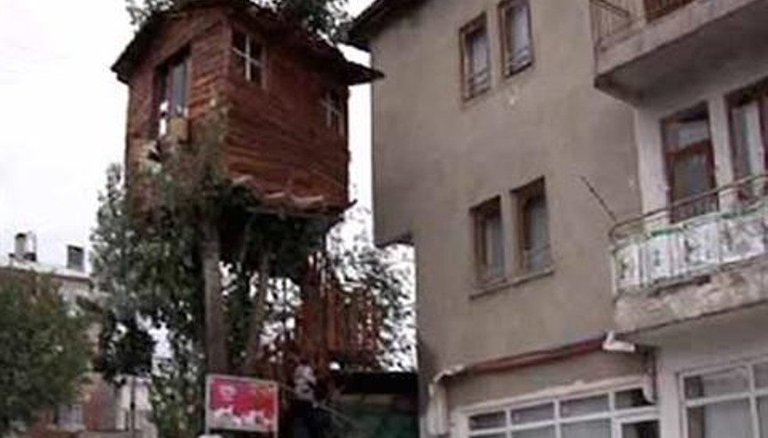 Bahçedeki kavak ağacına ev yaptılar