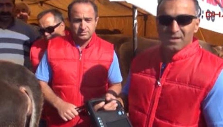 Kurban pazarında hamilelik testi