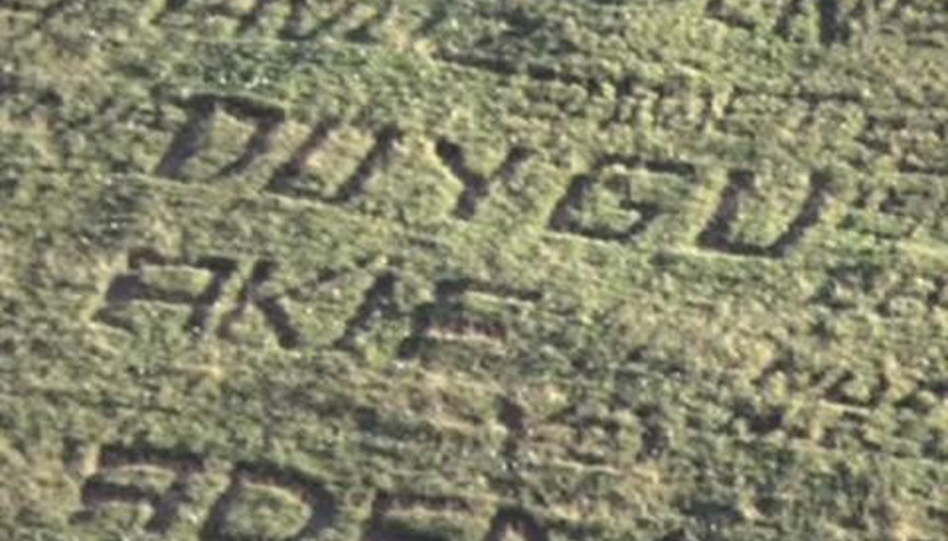 Aşklarını çimenlere kazıdılar